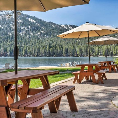 Cozy Studio W/Kitchenette Easily Accessible #113 At Donner Lake Village Траки Экстерьер фото
